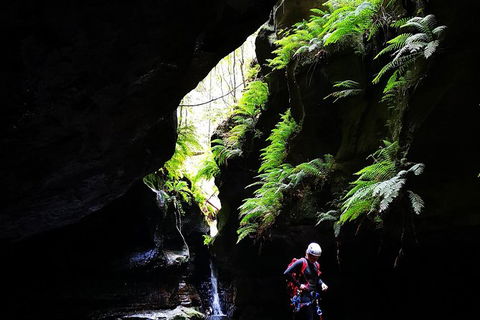 Full-Day Canyoning Experience At Stunning Empress Canyon - Tourism Caloundra 6