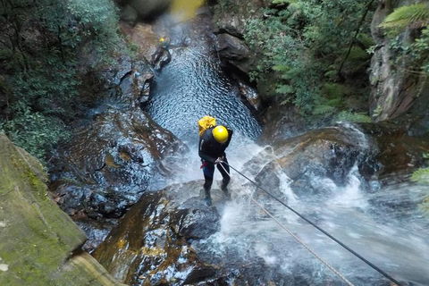 Full-Day Canyoning Experience At Stunning Empress Canyon - Tourism Caloundra 4