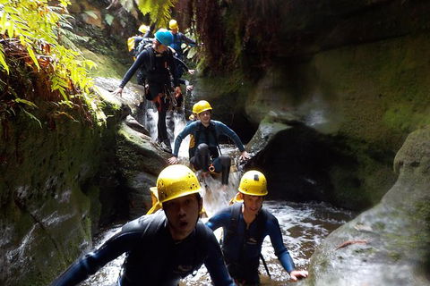 Full-Day Canyoning Experience At Stunning Empress Canyon - Tourism Caloundra 7