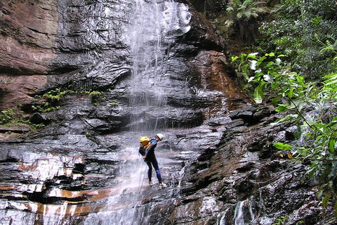 Full-Day Canyoning Experience At Stunning Empress Canyon - Tourism Caloundra 0