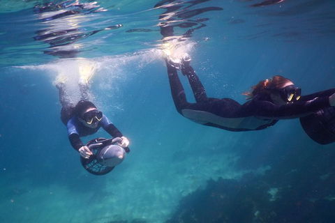 Small-Group Underwater Scooter Experience In Clovelly - Tourism Caloundra 0