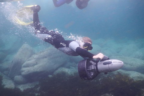 Small-Group Underwater Scooter Experience In Clovelly - Tourism Caloundra 7