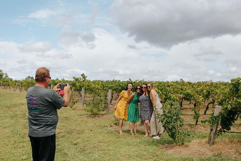 Lovedale & North Pokolbin, Hunter Valley Hop-On And Hop-off Bus Tour - Tourism Caloundra 3