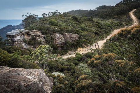 Blue Labyrinth Tour: Sydney Blue Mountains By E-Bike - Tourism Caloundra 5