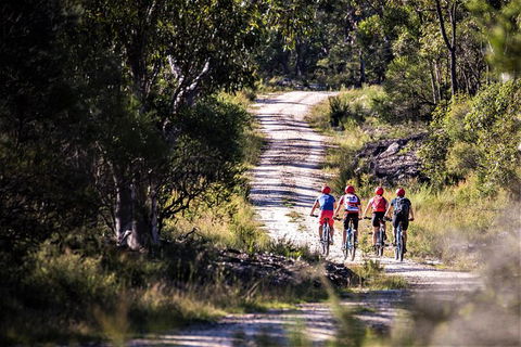 Blue Labyrinth Tour: Sydney Blue Mountains By E-Bike - Tourism Caloundra 6