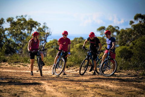 Blue Labyrinth Tour: Sydney Blue Mountains By E-Bike - Tourism Caloundra 3