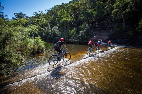 Blue Labyrinth Tour: Sydney Blue Mountains By E-Bike - Tourism Caloundra 7