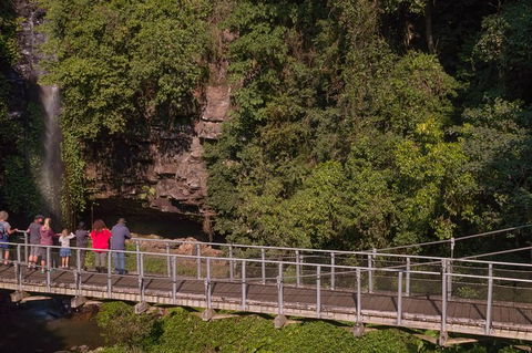 Rainforest & Waterfall Experience - Tourism Caloundra 4