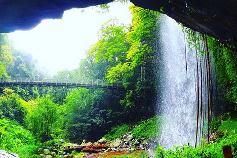 Rainforest & Waterfall Experience - Tourism Caloundra 6