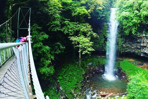 Rainforest & Waterfall Experience - Tourism Caloundra 0