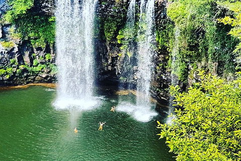 Rainforest & Waterfall Experience - Tourism Caloundra 2
