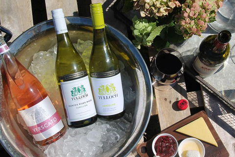 Tulloch Wines - Wine Tasting Paired With Local Handmade Chocolates - Tourism Caloundra 5