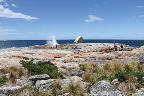 Bicheno Blowhole - Tourism Caloundra 1