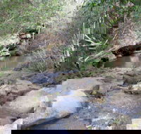 Bomaderry Creek Regional Park - Tourism Caloundra