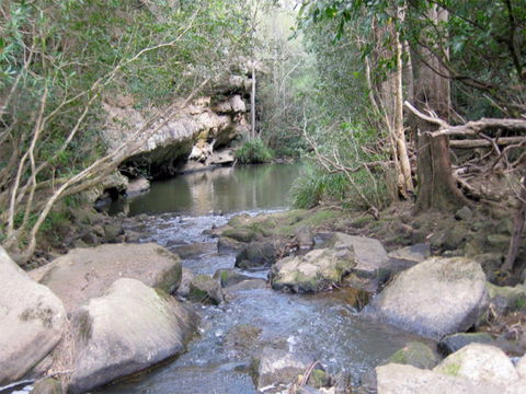 Bomaderry Creek Regional Park - Tourism Caloundra 0