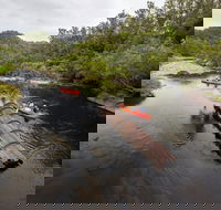 Boyd River - Tourism Caloundra