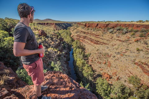 Gorge Rim Walk, Dales Gorge - Tourism Caloundra 0