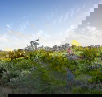 Mclaren Vale - Tourism Caloundra