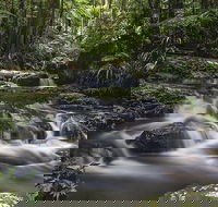 Protesters Falls Walking Track - Tourism Caloundra