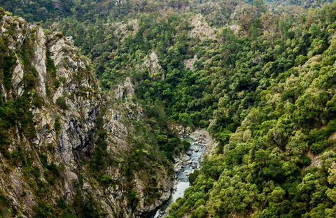 Tiara Walking Track - Tourism Caloundra 0