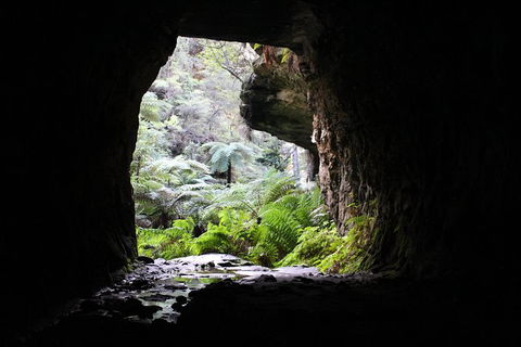 Glow Worm Tunnel Hike - Tourism Caloundra 1