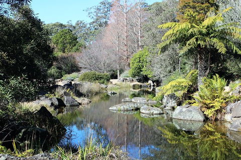 The Other Side Of The Blue Mountains - Tourism Caloundra 5