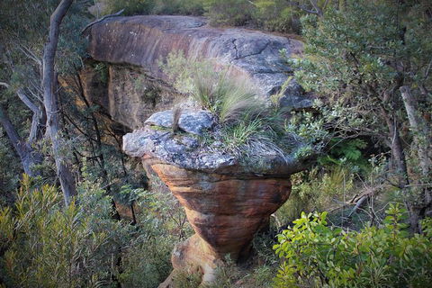 The Other Side Of The Blue Mountains - Tourism Caloundra 4