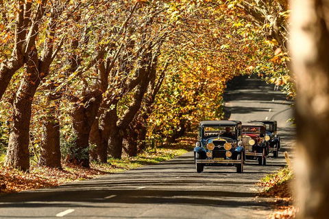 Blue Mountains Vintage Cadillac Tour With Local Guide - Tourism Caloundra 8