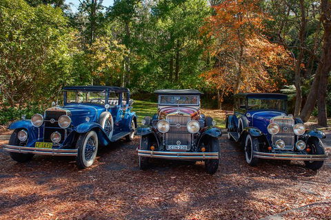 Blue Mountains Vintage Cadillac Tour With Local Guide - Tourism Caloundra 2