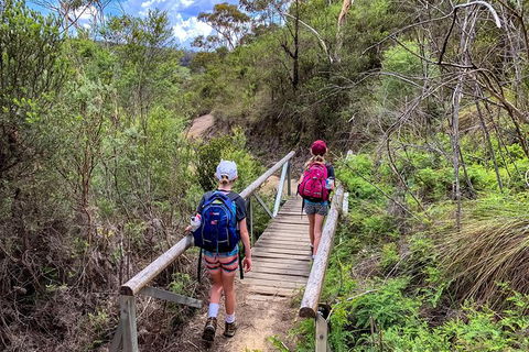 Blue Mountains Secret Places Adventure - Tourism Caloundra 4