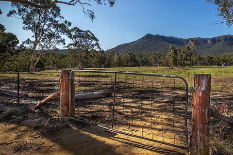 Blue Mountains Secret Places Adventure - Tourism Caloundra 3
