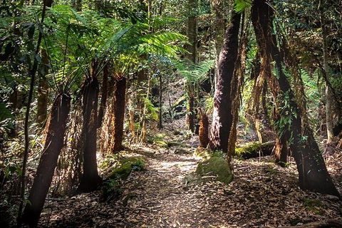 Blue Mountains Secret Places Adventure - Tourism Caloundra 1