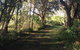 Coffs Harbour To Sawtell Bike Ride - thumb 7