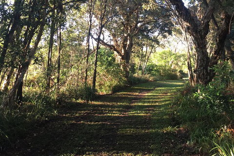 Coffs Harbour To Sawtell Bike Ride - Tourism Caloundra 7