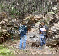 Newnes Ruins Walking Tour - Tourism Caloundra