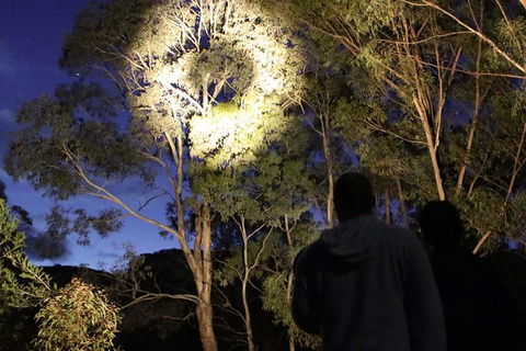 Wollemi Twilight Wildlife Tour - Tourism Caloundra 0