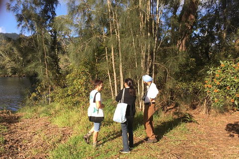 Fishermans Paradise Eco-walk - Tourism Caloundra 1