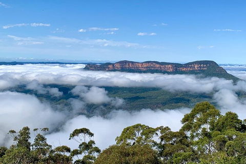 Taste Of The Blue Mountains - Lunch & Wine Tasting, Beer, Cider & Gin Tasting - Tourism Caloundra 3