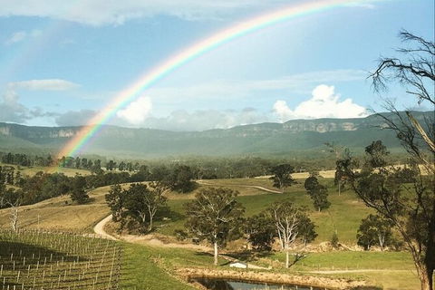 Taste Of The Blue Mountains - Lunch & Wine Tasting, Beer, Cider & Gin Tasting - Tourism Caloundra 2