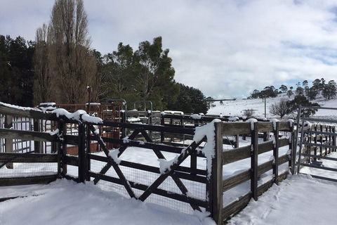 Paddock To Plate Farm Tour And Tasting - Tourism Caloundra 11