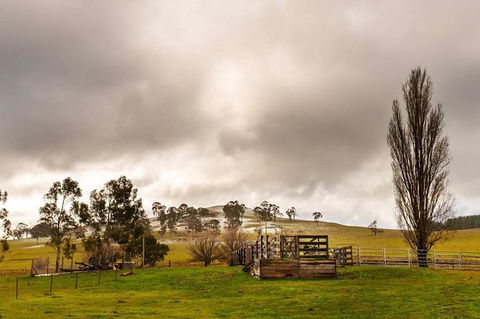 Paddock To Plate Farm Tour And Tasting - Tourism Caloundra 0