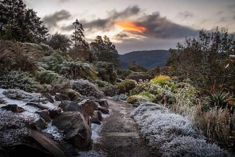 Blue Mountains Botanic Garden And Bilpin Tour From Katoomba With Cider Tasting - Tourism Caloundra 2