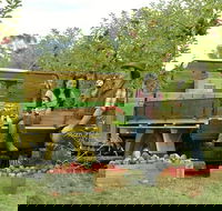 Blue Mountains Botanic Garden and Bilpin Tour from Katoomba with Cider Tasting - Tourism Caloundra