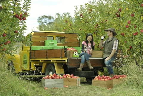 Blue Mountains Botanic Garden And Bilpin Tour From Katoomba With Cider Tasting - Tourism Caloundra 0