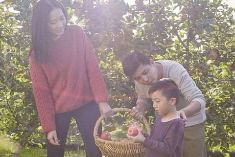 Blue Mountains Botanic Garden And Bilpin Tour From Katoomba With Cider Tasting - Tourism Caloundra 1