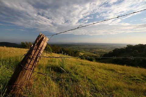 Private Full-Day Wine Tour In Hunter Valley - Tourism Caloundra 3
