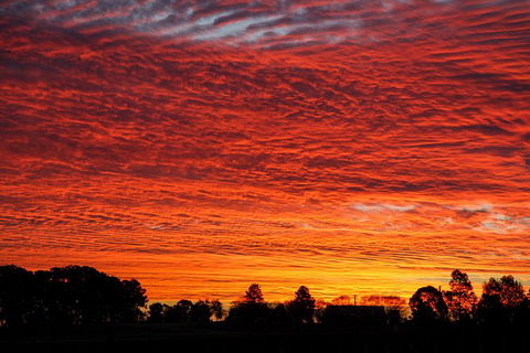 Private Full-Day Wine Tour In Hunter Valley - Tourism Caloundra 0