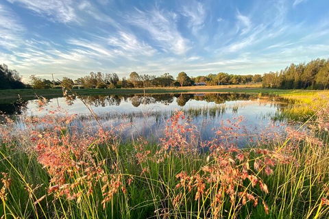 Private Full-Day Wine Tour In Hunter Valley - Tourism Caloundra 5