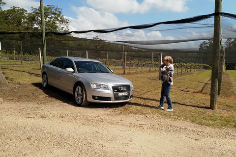 The Secret Vines Experience Port Macquarie - Tourism Caloundra 0