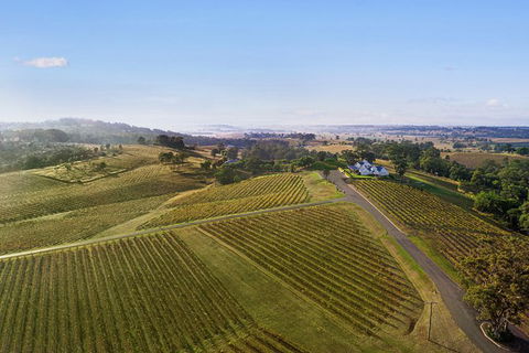 Audrey Wilkinson Vineyard: Fromage And Fortified Wine Experience - Tourism Caloundra 1